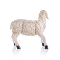 ZY22051