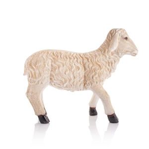Mouton - 70 cm - Grande